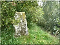 SE2619 : Triangulation pillar, Thornhill by Humphrey Bolton