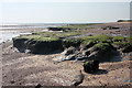 Salt marsh at East Mersea