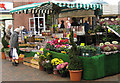 Early birds at the plant stall