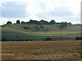 SU2643 : Farmland west of Quarley by Brian Robert Marshall