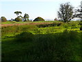 Cau Amaethyddol ger Bryn Myherin / Farmland near Bryn Myherin