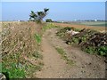 View along footpath to Chapel Bottom