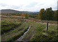 Track from Old Struan to Strathtummel