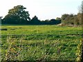 Farmland, north of Lower Wanborough, Swindon