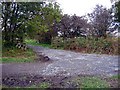 Junction of footpath and disused railway