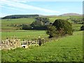 Nithsdale and Ryehill Farm