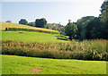 Higher Hoopern Valley, University of Exeter