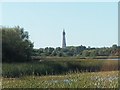 Marton Mere ... and Blackpool Tower