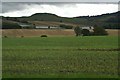 Fields south of Balbeggie