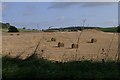 Fields at Dundriven, north of Abernyte