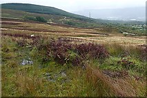 SO0204 : South-western slope of Mynydd Aberdare by Graham Horn