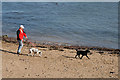 On Eyemouth beach