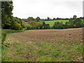 Lodon Valley fields