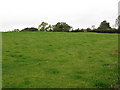 Field next to Winslow Farm