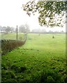 Footpath in the Rain! - Bar House Lane, Utley