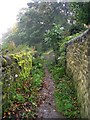 Footpath - Spring Gardens Lane