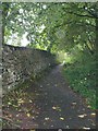 Footpath - Spring Gardens Lane