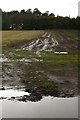 Wet field near Alyth