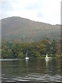 SD3887 : Windermere with Gummer's How in the background by Darrin Antrobus
