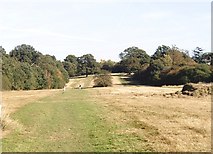 TQ4094 : Land in Epping Forest near Ranger's Road, Chingford by David Kemp