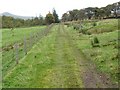 Footpath to Haylie Brae