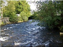 SH7863 : Afon Crafnant - downstream by Maigheach-gheal
