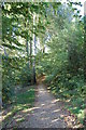 Pine walk, Shaftesbury, Dorset