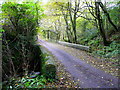 Bridge over a stream