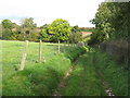 Footpath to Ganderland near Great Wacton Farm