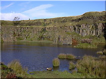 SD7623 : Troy Quarry, Grane by Robert Wade