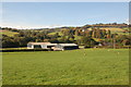 Sheep farm near Norton