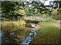 Footbridge, in Sid Vale