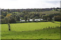 Somerton Fishing Ponds