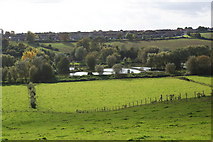 ST4829 : Somerton Fishing Ponds by Andy Pearce
