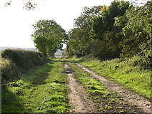 SE9767 : Green Lane near Pasture Cottages by Gordon Hatton