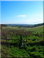 Dry Valley near Lancing Ring