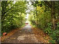 Lane near Ewden Village