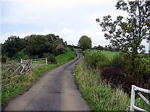 NZ3443 : Lane to Hastings House farm by Roger Smith