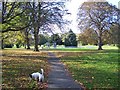 Cemetery / Playing Fields of  St Mary