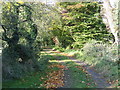 Footpath to Stoulton off Windmill Lane