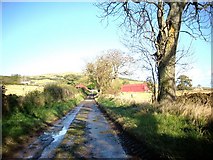 NT6134 : Road leading to and Third Farm buildings by James Denham