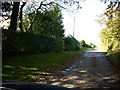 Track leading from minor road in Borders.