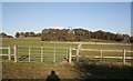 Looking across the fields towards Babworth Church