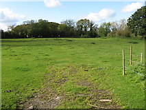 SO8959 : Pasture near Brownheath Common by Peter Whatley