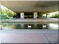 TQ1079 : The Parkway undercroft  with accompanying swans & graffiti vandalism. by J Taylor