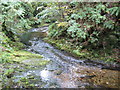 River Lyd in Lydford