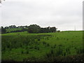 Graveyard at Drumard, Co. Monaghan