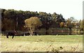 The pond on Harlow Common