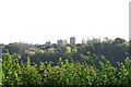 Deer Park Tower Blocks from Wisewood Cemetery