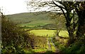 Lane near Ballycastle